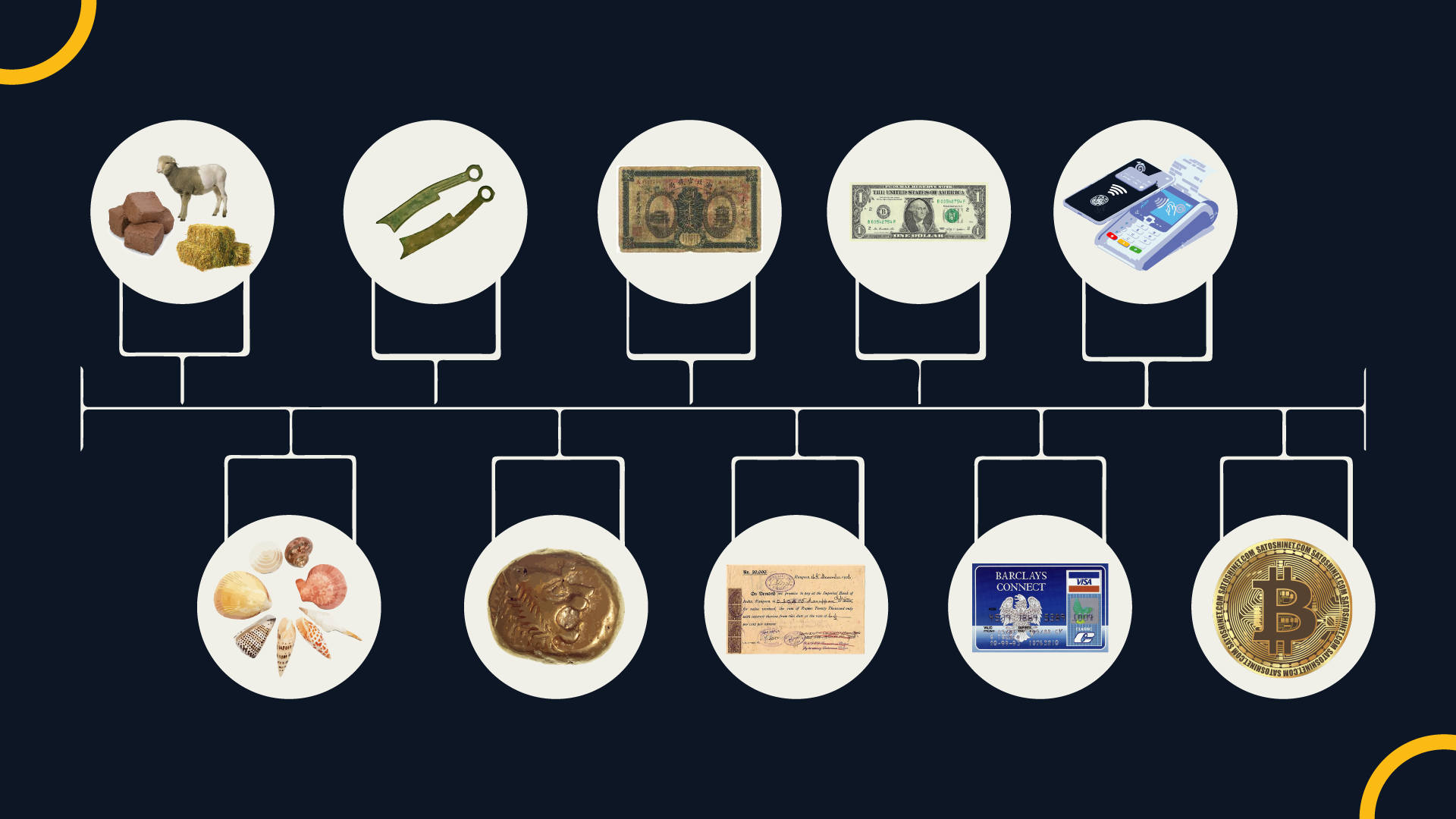 Evolution of Money_Image_Mesa de trabajo 1